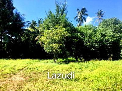 Land for sale Surat Thani : Hot Price! Prime Mae Nam Land 813.2 sqm near Elephant Sanctuary