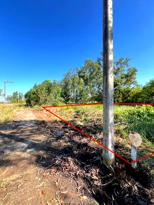 Land for sale Nong Sua Pathumthani : Very cheap, 2 plots Khlong 11 Nong SueaPathum Thani100 sq m260,000 bahtnear Nong Suea Hospital5kmdistrict office5 km,electricity,water300 m