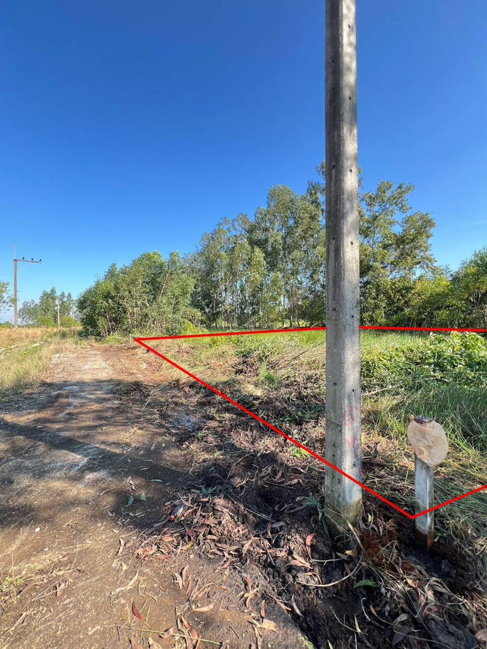 picture Very cheap, 2 plots Khlong 11 Nong SueaPathum Thani100 sq m260,000 bahtnear Nong Suea Hospital5kmdistrict office5 km,electricity,water300 m - 1/12