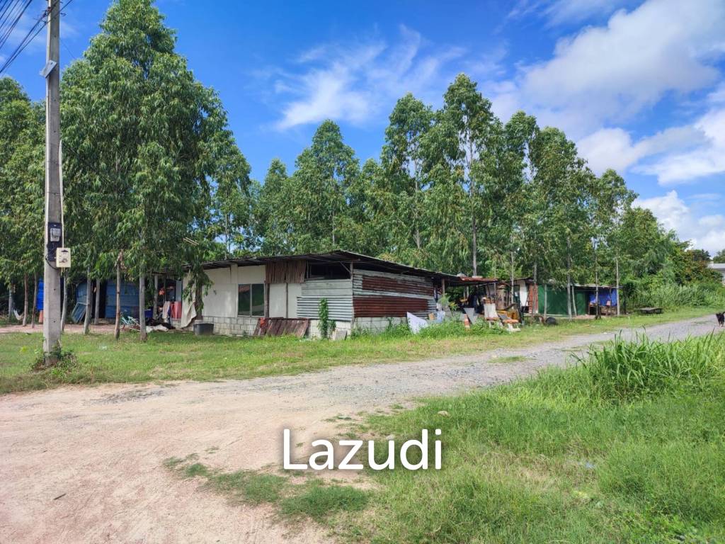 picture 99 SQ.W 4 Plots Land For Sale Near Chaiyapruek - 2/4