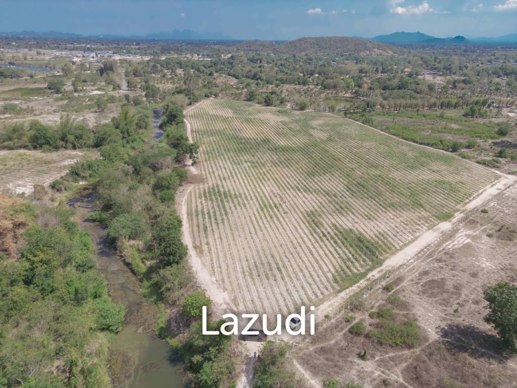 รูป Land 21 Rai Soi 112 - รูปที่ 8/9