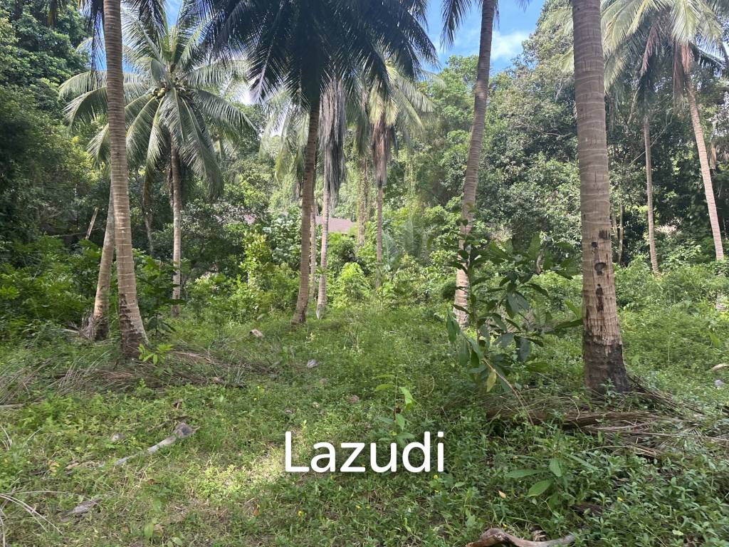 รูป Beautiful 3 rai plot for sale, located in a quiet jungle setting - รูปที่ 2/10