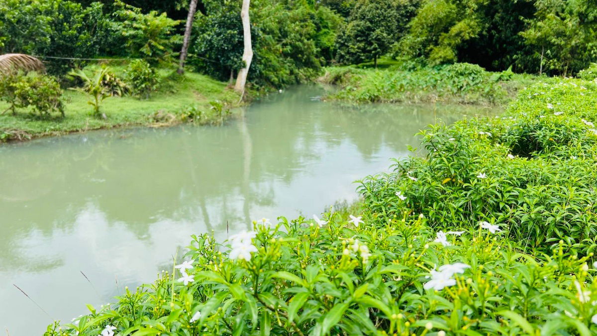 รูป 1ไร่1งาน52ตรว2200000ต.นาหินลาดอ.ปากพลีนครนายกมีเพื่อนบ้านติดน้ำไฟน้ำพร้อมดิเดิมสมบูรณ์ปลูกผลไม้ได้มีทุเรียนมะม่วงลำใยบางส่วนหม้อแปลงติดถนนโฉนดครุฑแดง - รูปที่ 12/14