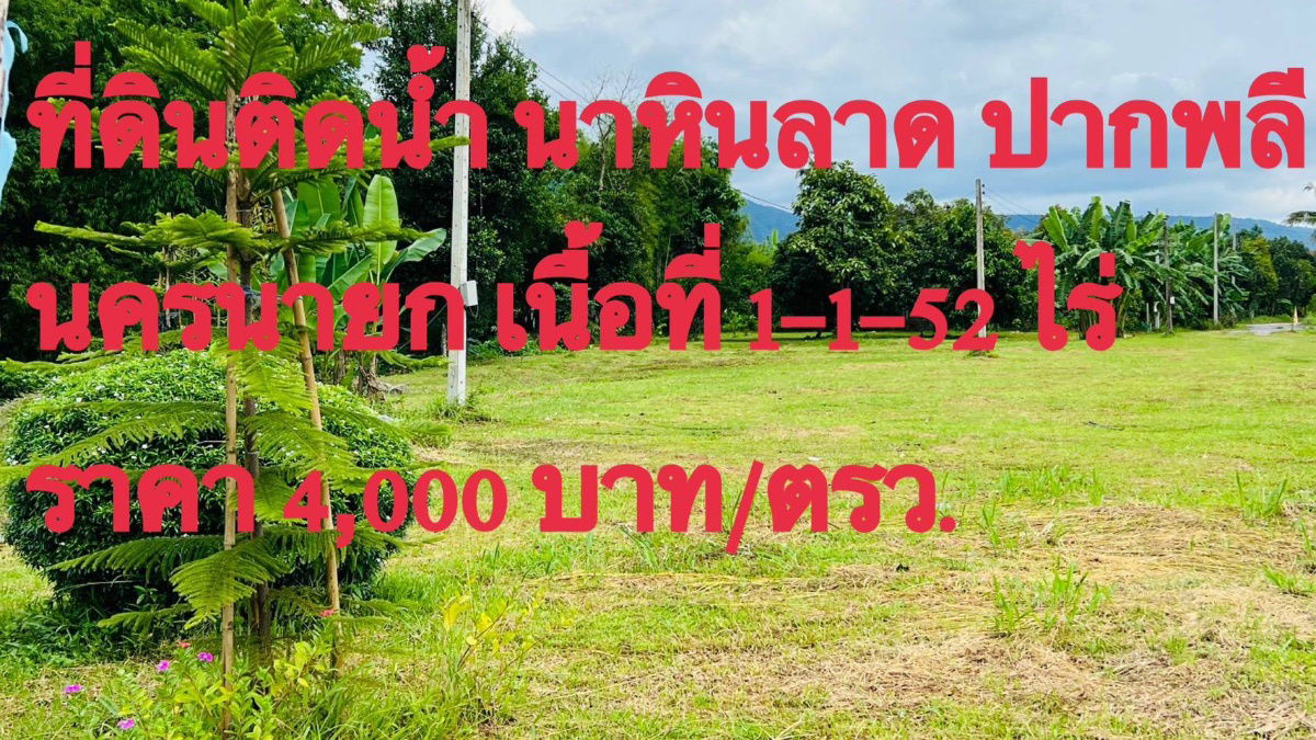 รูป 1ไร่1งาน52ตรว2200000ต.นาหินลาดอ.ปากพลีนครนายกมีเพื่อนบ้านติดน้ำไฟน้ำพร้อมดิเดิมสมบูรณ์ปลูกผลไม้ได้มีทุเรียนมะม่วงลำใยบางส่วนหม้อแปลงติดถนนโฉนดครุฑแดง - รูปที่ 1/14