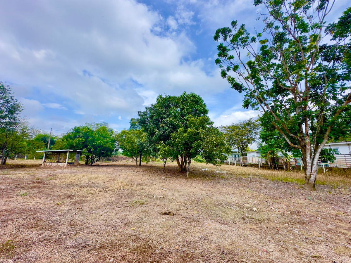 picture Beautiful land plot400sq m,minimalist detached house,2 bedrooms66 sq m,lots of trees,reservation fee 9,000 baht,if not approved,refund, - 4/10