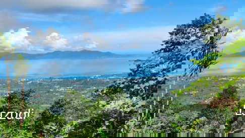 Sea View Land Development – 23 Plots of 800 sqm in Maenam Soi 5, Koh Samui