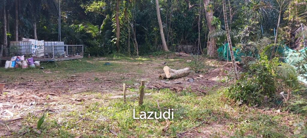 รูป ที่ดินเปล่าเนื้อที่ 1166 ตร.ม. ในตำบลหนองปรือ อ.บางละมุง จ.ชลบุรี - รูปที่ 2/8