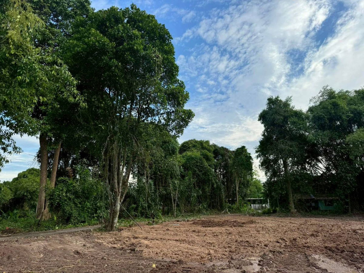 picture Urgent sale need money,reduced by almost2 million almost2rai of land next to the river5.9 millionnow 4.5 million100 meter concrete road,  - 13/21