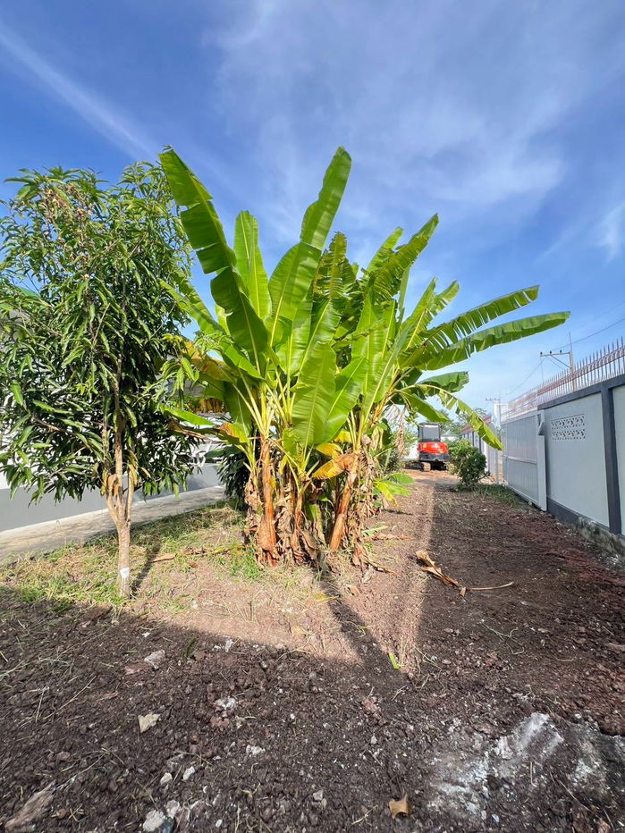 picture  Wat Proi Fon 6 km. Maha Vajiralongkorn Hospital Thanyaburi 14 km.  Lotus Big C 20 km. Electricity and water available. Reservation 50,000 baht. - 22/24