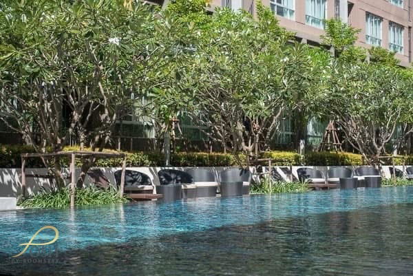 picture DCondo Campus Kuku – Features a modern-classic tone and mood, perfect for relaxation. Conveniently located near the Rajabhat and the Old Town area. - 24/32