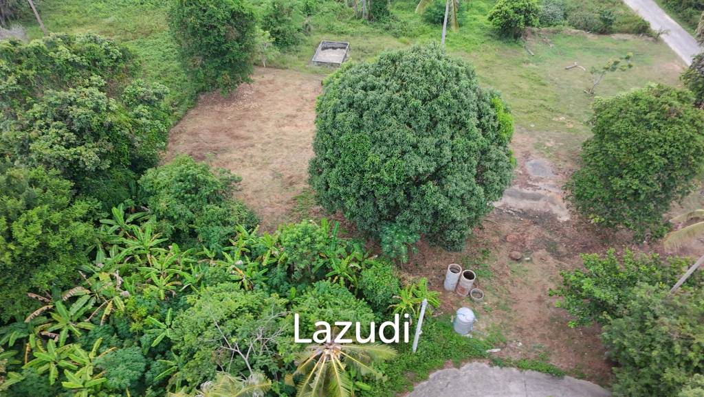 picture 924SQM Flat Plot - 2-mins Walk to the Beach in Laem Sor! - 2/8