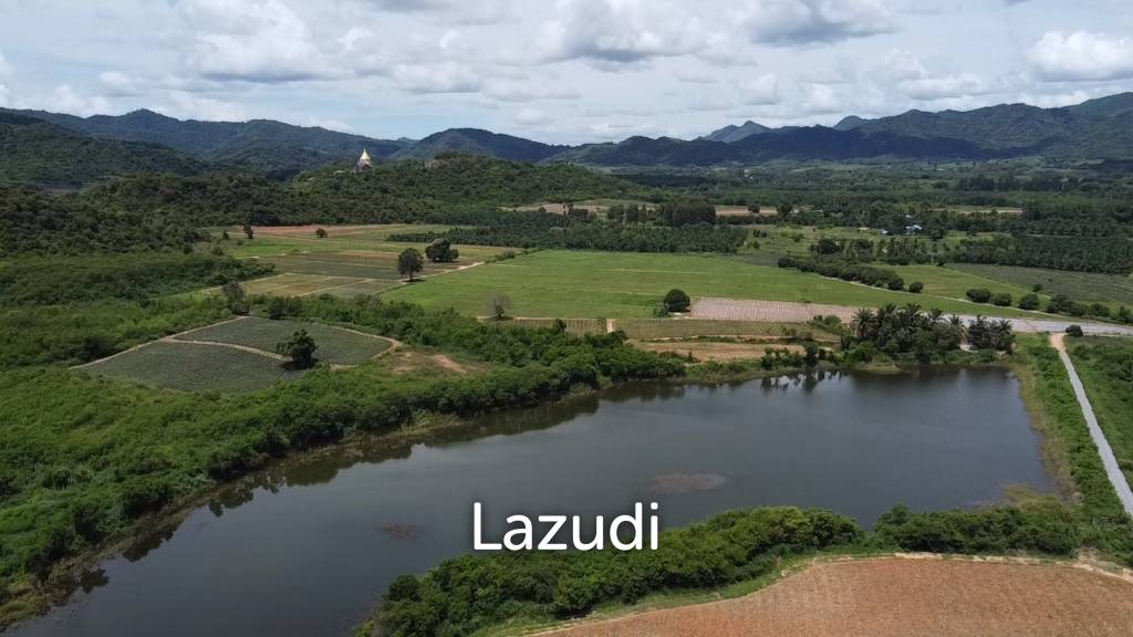 picture Expansive Freehold Land 24-3-26 Rai in Nong Phlap Hua Hin - 7/8