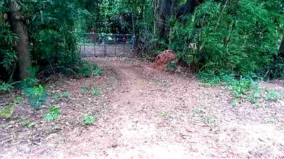 Land for sale Udon Thani : 🌳 Land for Sale –Serene and Shady with Natural Surroundings