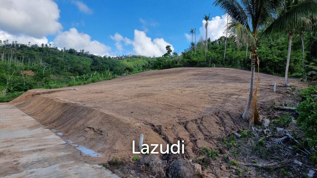 รูป Flat Land 400 SQM for Sale in Maenam Soi 3 - รูปที่ 4/4