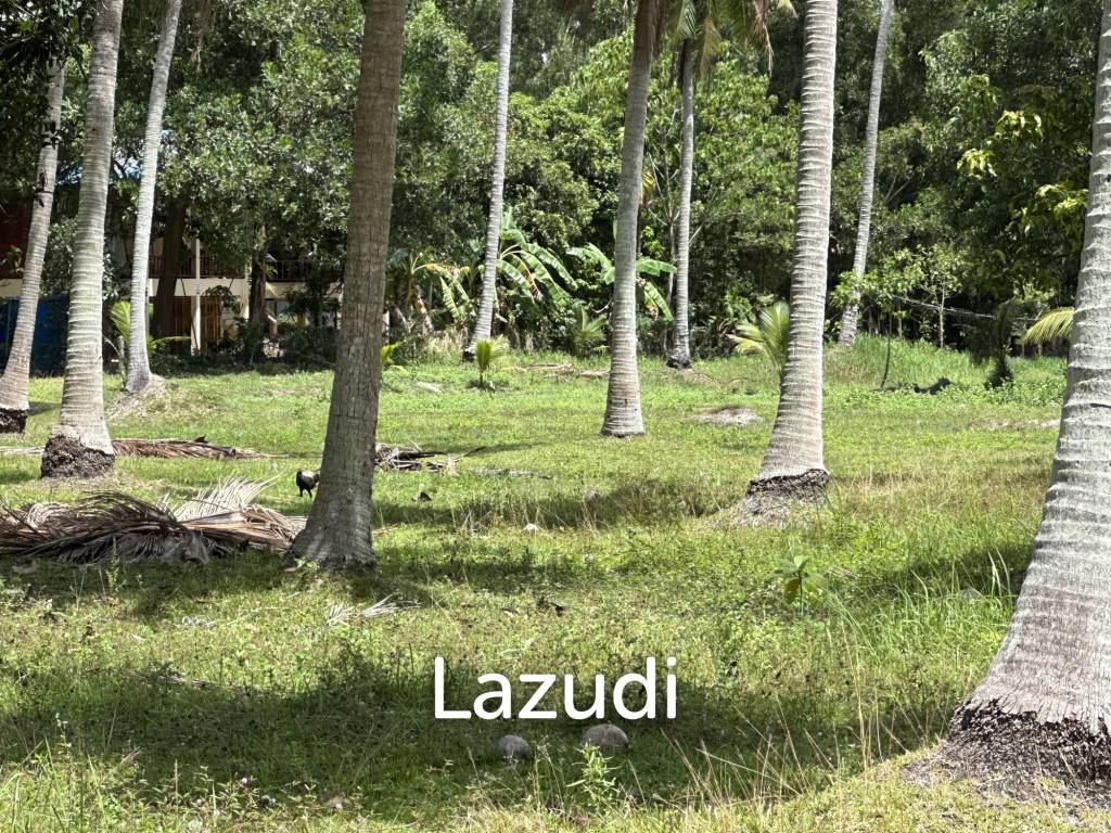 รูป Land 1 Rai In Madewan - รูปที่ 6/11