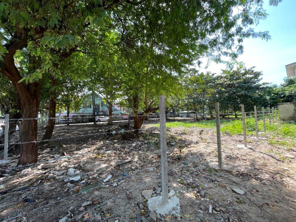 picture Vacant Land on Suan Phak 43 Corner of Soi Assavapichet 2 size about 446.7 sq wah Size about 28m x 64 m - 7/15