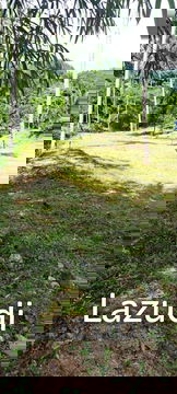 Prime 400 SQ.M Land Plot in Maret, Ko Samui