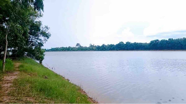 picture 🌳 Land for Sale –Serene and Shady with Natural Surroundings - 6/7