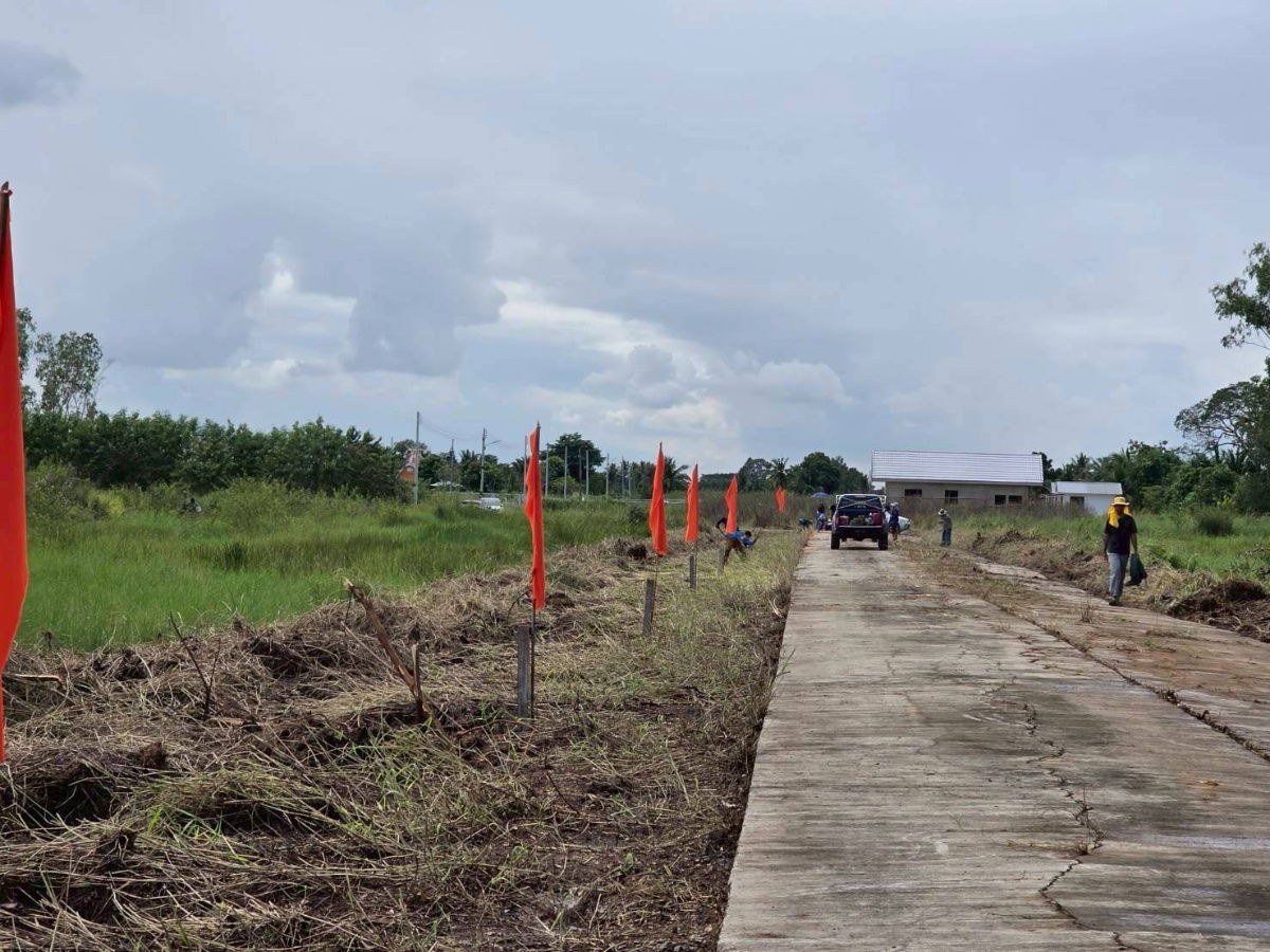 picture Baan Suan Kasem Khlong 9, Bueng Bon 15/1, 3-phase electricity, water,concrete road,8 m2 100 sq m3.9 baht from Rangsit-Nakhon Nayok Road6.5 gm - 11/15