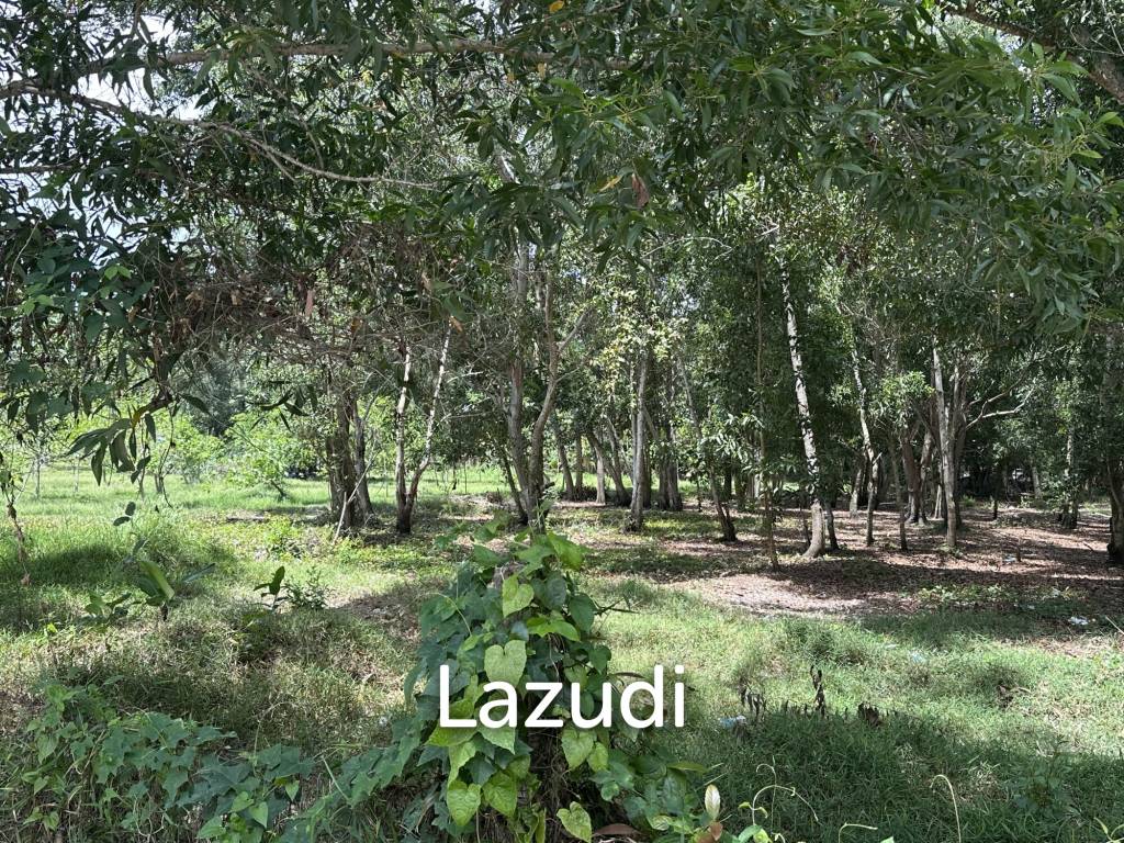 รูป Land 1 Rai In Madewan - รูปที่ 8/11