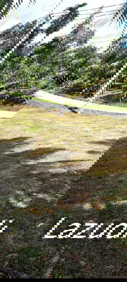 รูป Prime Land Plot 500 SQ.M in Maret Koh Samui - รูปที่ 5/9