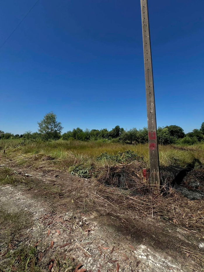 picture Very cheap, 2 plots Khlong 11 Nong SueaPathum Thani100 sq m260,000 bahtnear Nong Suea Hospital5kmdistrict office5 km,electricity,water300 m - 9/12