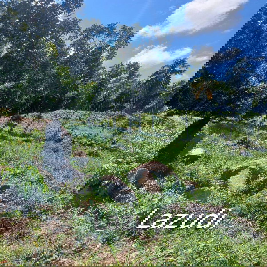 รูป Sunset View Land with Ang Thong Marine Park Vista in Southwest Koh Samui - รูปที่ 3/5