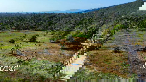 Investment Opportunity: Sea View Plots Ready for Immediate Development in Mae Nam