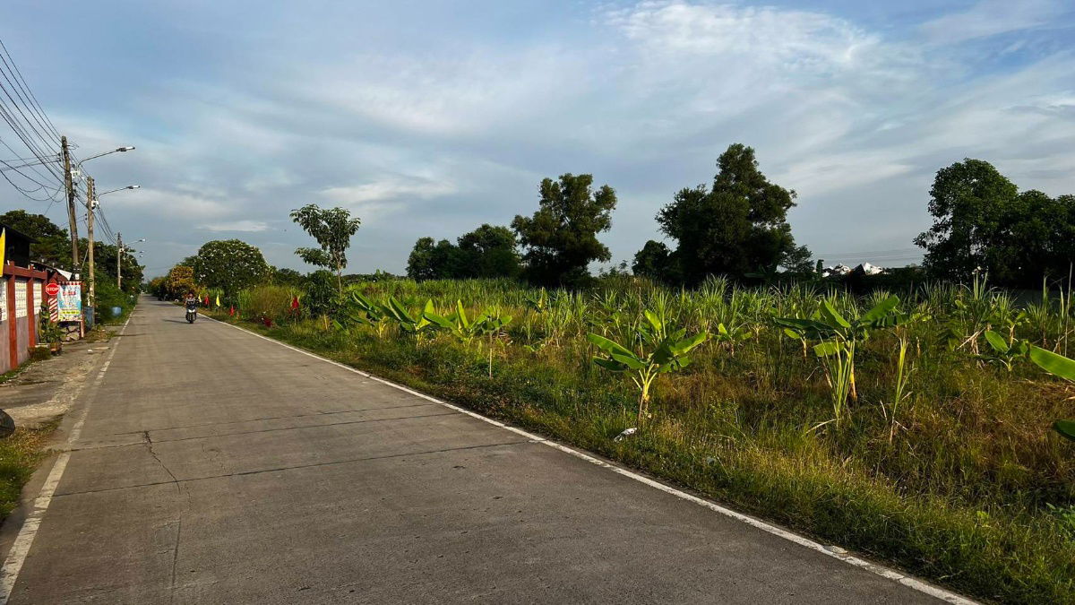 picture Land for sale, Khlong 3, Khlong Luang, Pathum Thani, 100 sq m, 990,000 baht, beautiful plot, good location, concrete road, water, 3-phase electricity, - 15/24