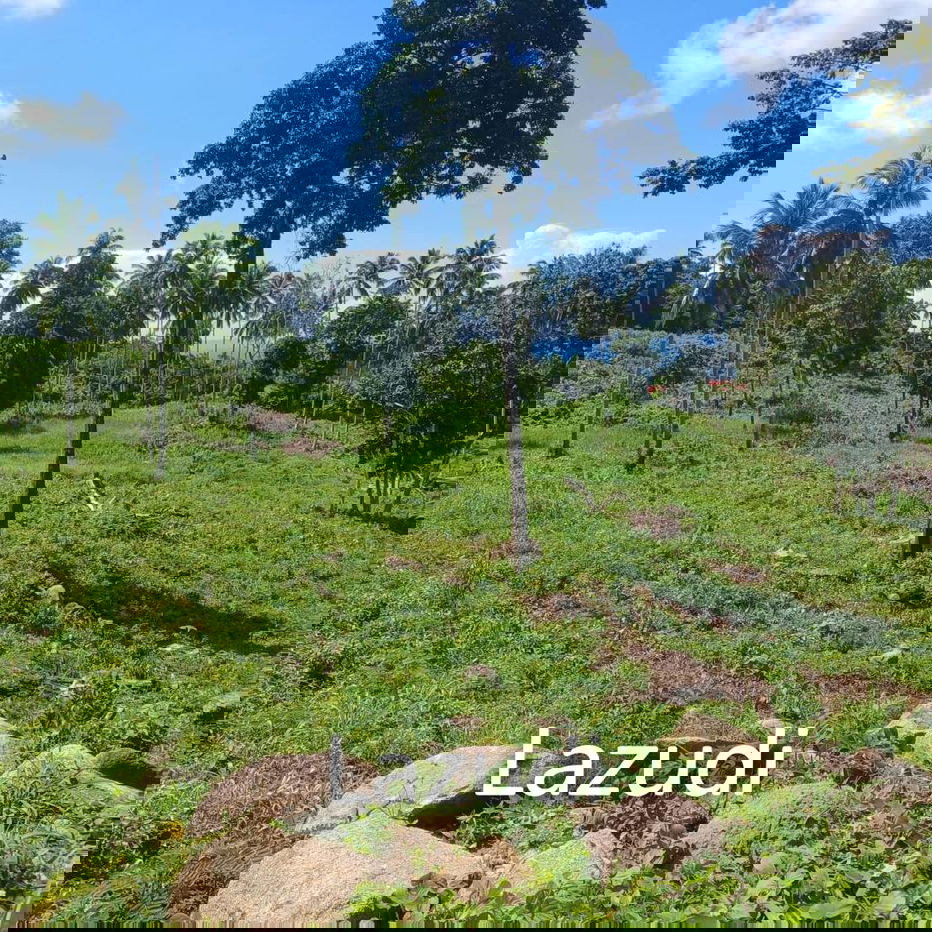 รูป Sunset View Land with Ang Thong Marine Park Vista in Southwest Koh Samui - รูปที่ 1/5