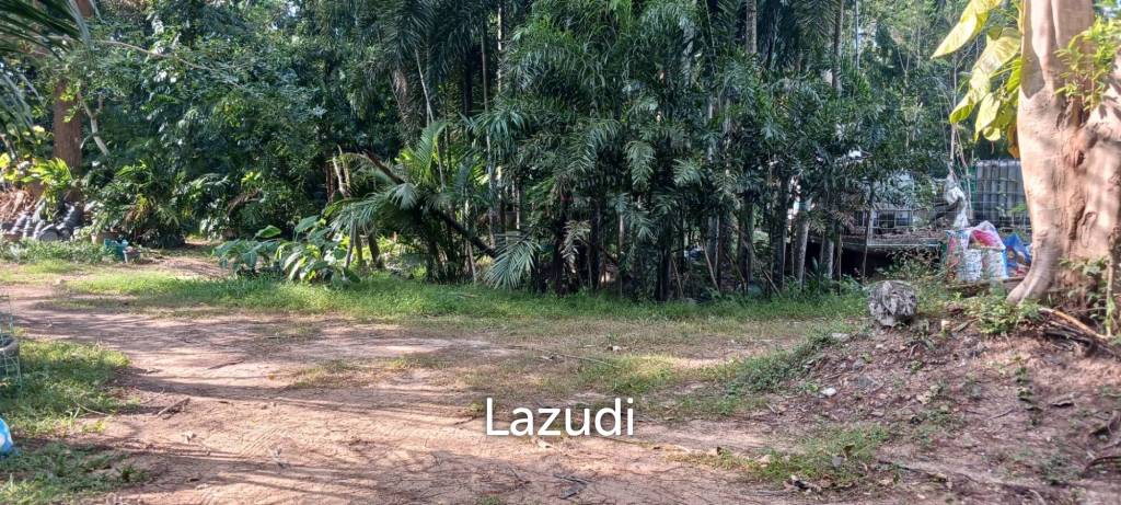 รูป ที่ดินเปล่าเนื้อที่ 1166 ตร.ม. ในตำบลหนองปรือ อ.บางละมุง จ.ชลบุรี - รูปที่ 3/8