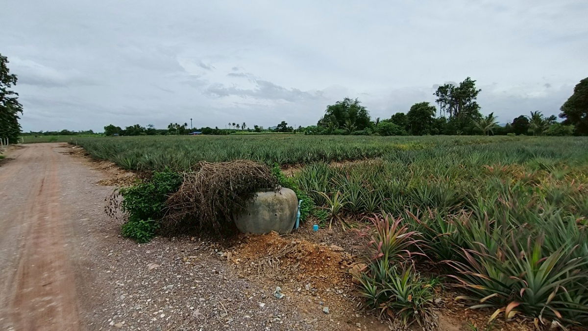 picture Lands for sale in Hua-hin 1.4 m. baht per rai - 9/13