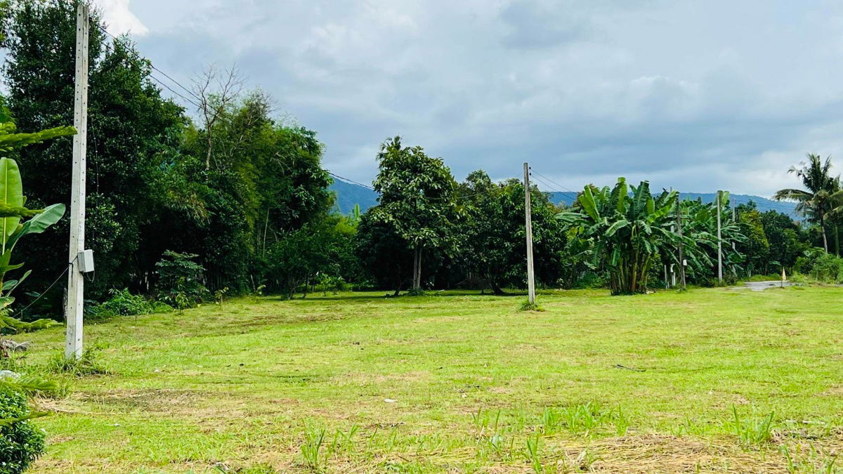รูป 1ไร่1งาน52ตรว2200000ต.นาหินลาดอ.ปากพลีนครนายกมีเพื่อนบ้านติดน้ำไฟน้ำพร้อมดิเดิมสมบูรณ์ปลูกผลไม้ได้มีทุเรียนมะม่วงลำใยบางส่วนหม้อแปลงติดถนนโฉนดครุฑแดง - รูปที่ 14/14