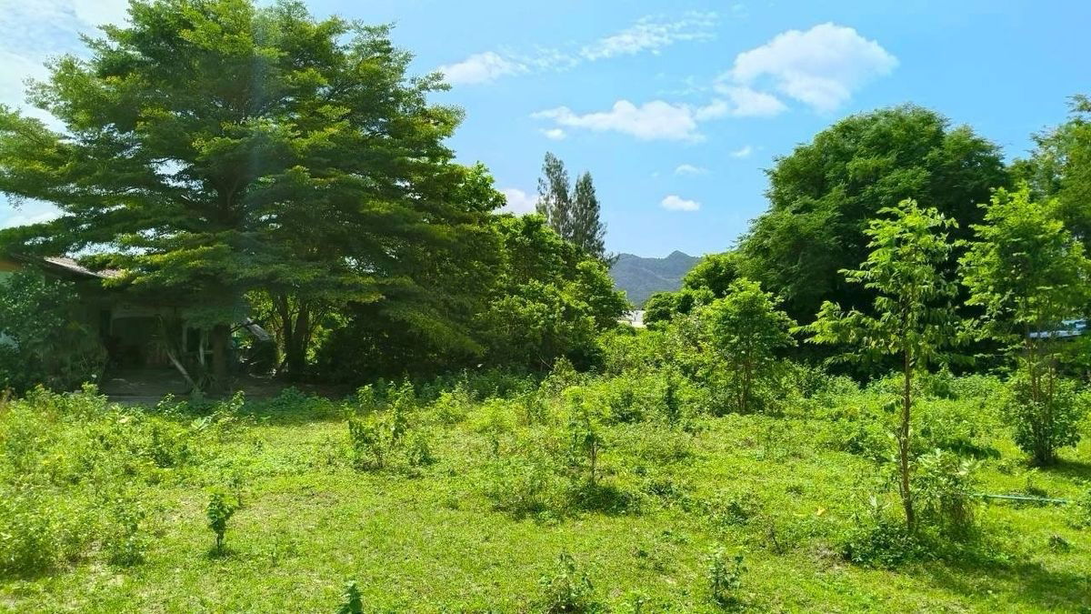 picture Lands for sale in Hua-hin 2 rai with a house - 6/17