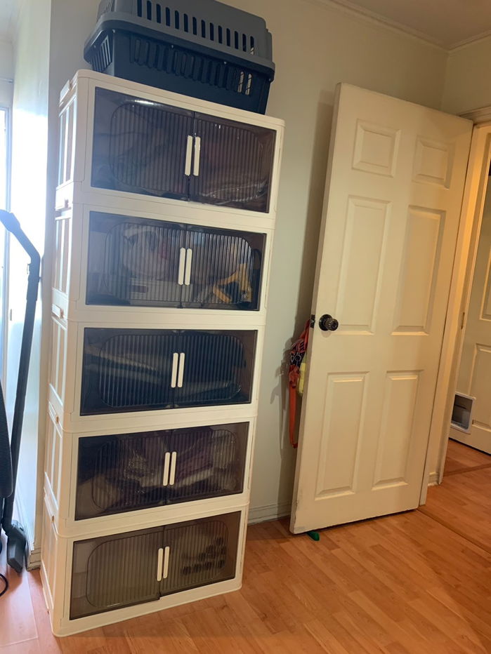 picture Condo for Rent – Lumpini Ville Sukhumvit 77 Building 2, 11th Floor | 2 Bedrooms, 2 Bathrooms | 65.5 sq.m. Near BTS On Nut | City View Pet allowed. - 7/30