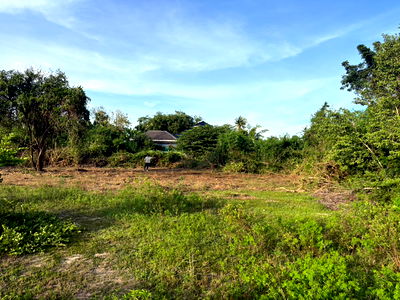 Land for sale : 📢 URGENT SALE! Prime Land Near Beach & City Center in Prachuap Khiri Khan! 🏖️🏡