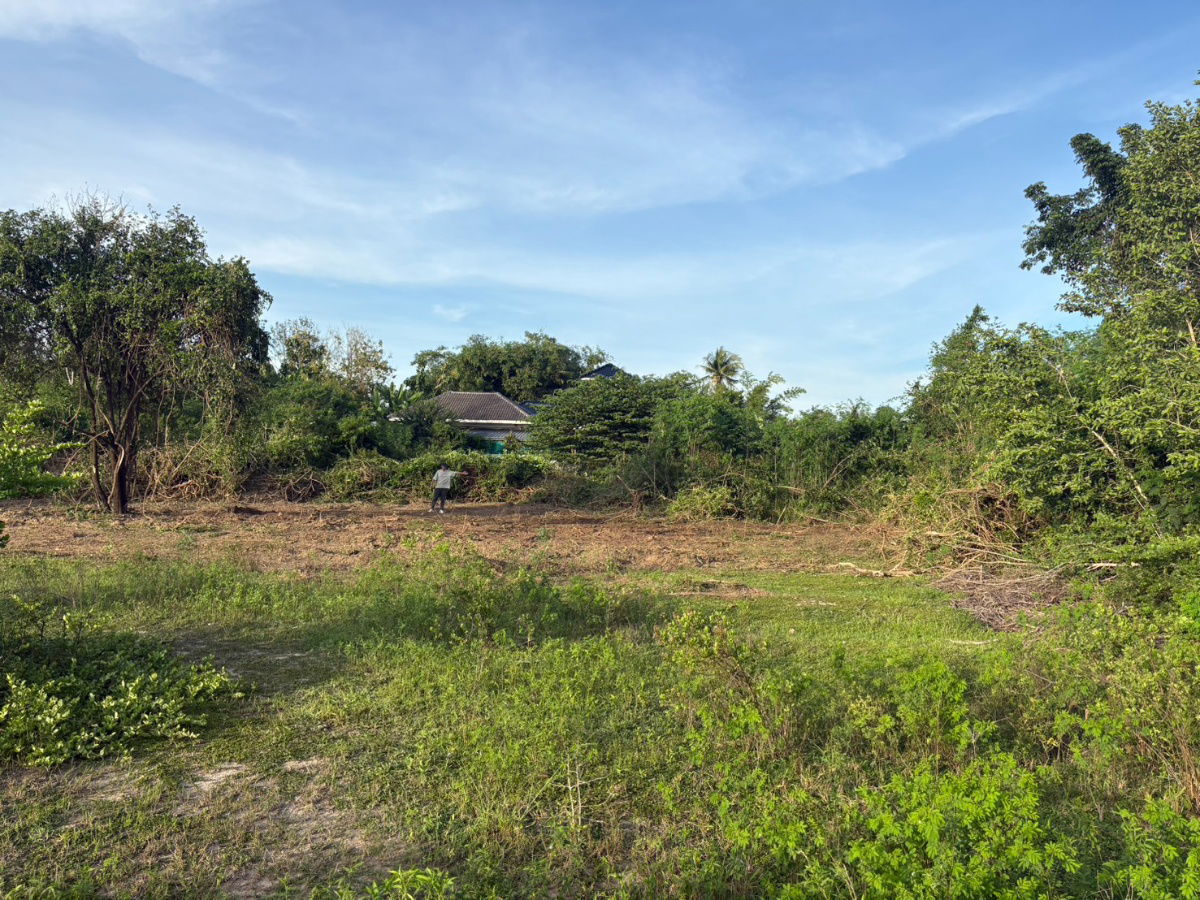 picture 📢 URGENT SALE! Prime Land Near Beach & City Center in Prachuap Khiri Khan! 🏖️🏡 - 1/12