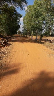 picture FOR SALE  LAND PROPERTY  7500000 BAHT. - 8/8