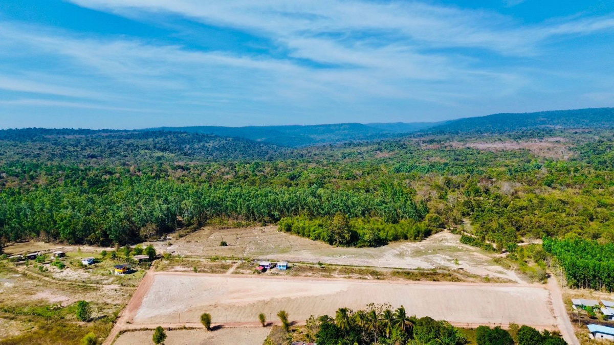 picture Khao Yai Mountain Phase2land project feel the mist all the time,near tourist attractions2700square wah,starting from200square wah 2rai48 installments - 15/16