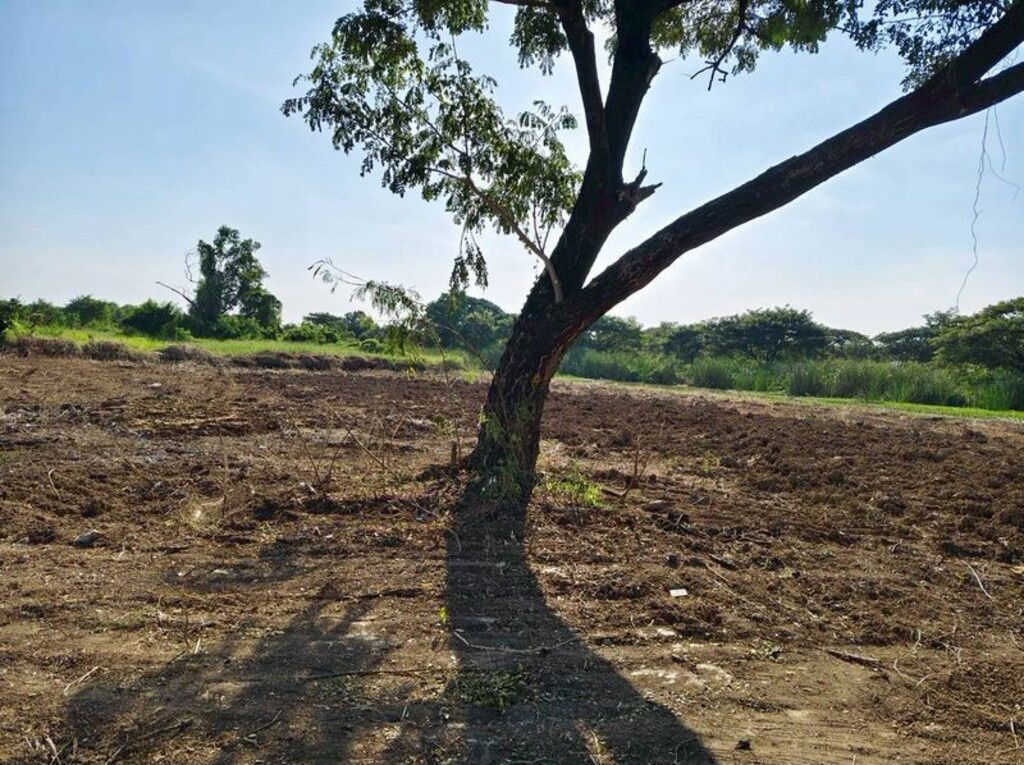 รูป (UA001) ขายที่ดิน 2 ไร่ 1 งาน 6.6 ตารางวา นิมิตใหม่ 40 ใกล้โครงการเค.ซี. การ์เด้น (ที่ติดเลค ริมน้ำ) - รูปที่ 4/10