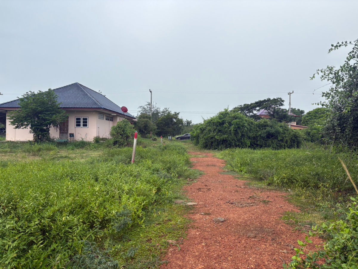 picture 📢 URGENT SALE! Prime Land Near Beach & City Center in Prachuap Khiri Khan! 🏖️🏡 - 5/12