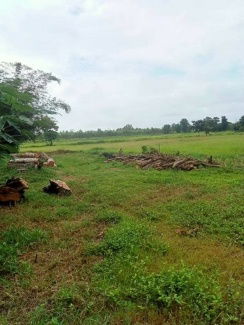 picture FOR SALE LAND PROPERTY 2000000 BAHT. - 7/8