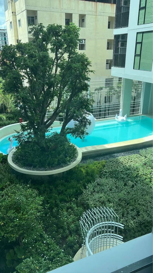 รูป 🟢ER25445🟢ให้เช่า / For Rent IVORY Ratchada - Ladprao | One Bed Plus 2 ห้องนอน | 34.78 ตร.ม. | ชั้น 4 | 💰 16,900 บาท/เดือน - รูปที่ 11/13