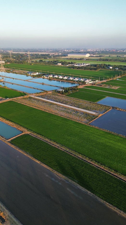 picture Cheapest in Khun Si Sai Noi, Nonthaburi, good investment, profitable, 59,000 baht per square wa, 3-phase water and electricity, near Big C 9 km, - 20/21