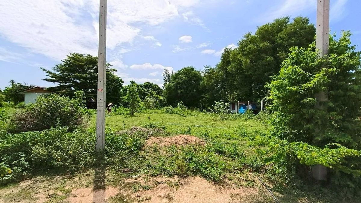 picture Lands for sale in Hua-hin 2 rai with a house - 5/17