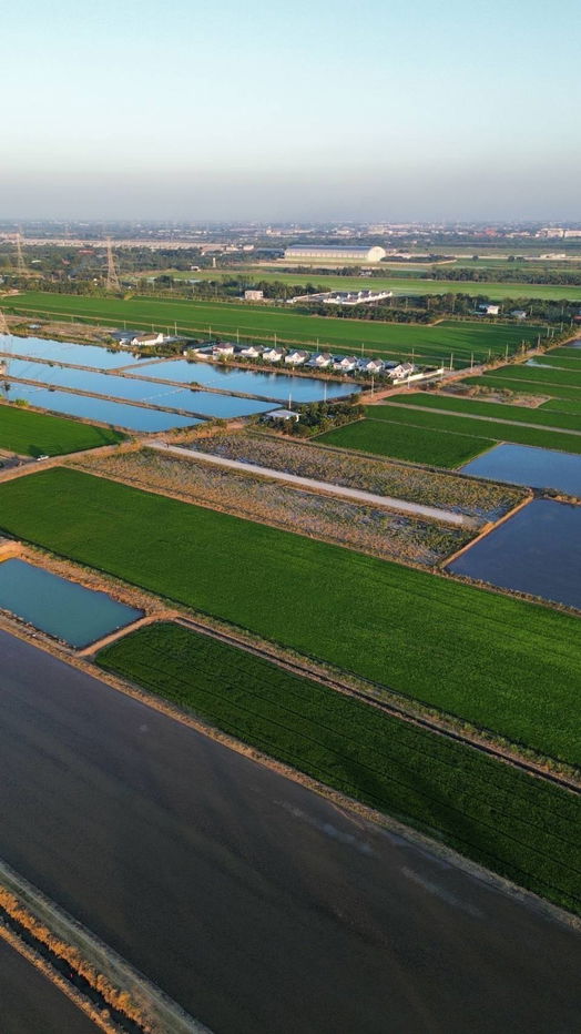 picture Cheapest in Khun Si Sai Noi, Nonthaburi, good investment, profitable, 59,000 baht per square wa, 3-phase water and electricity, near Big C 9 km, - 12/21