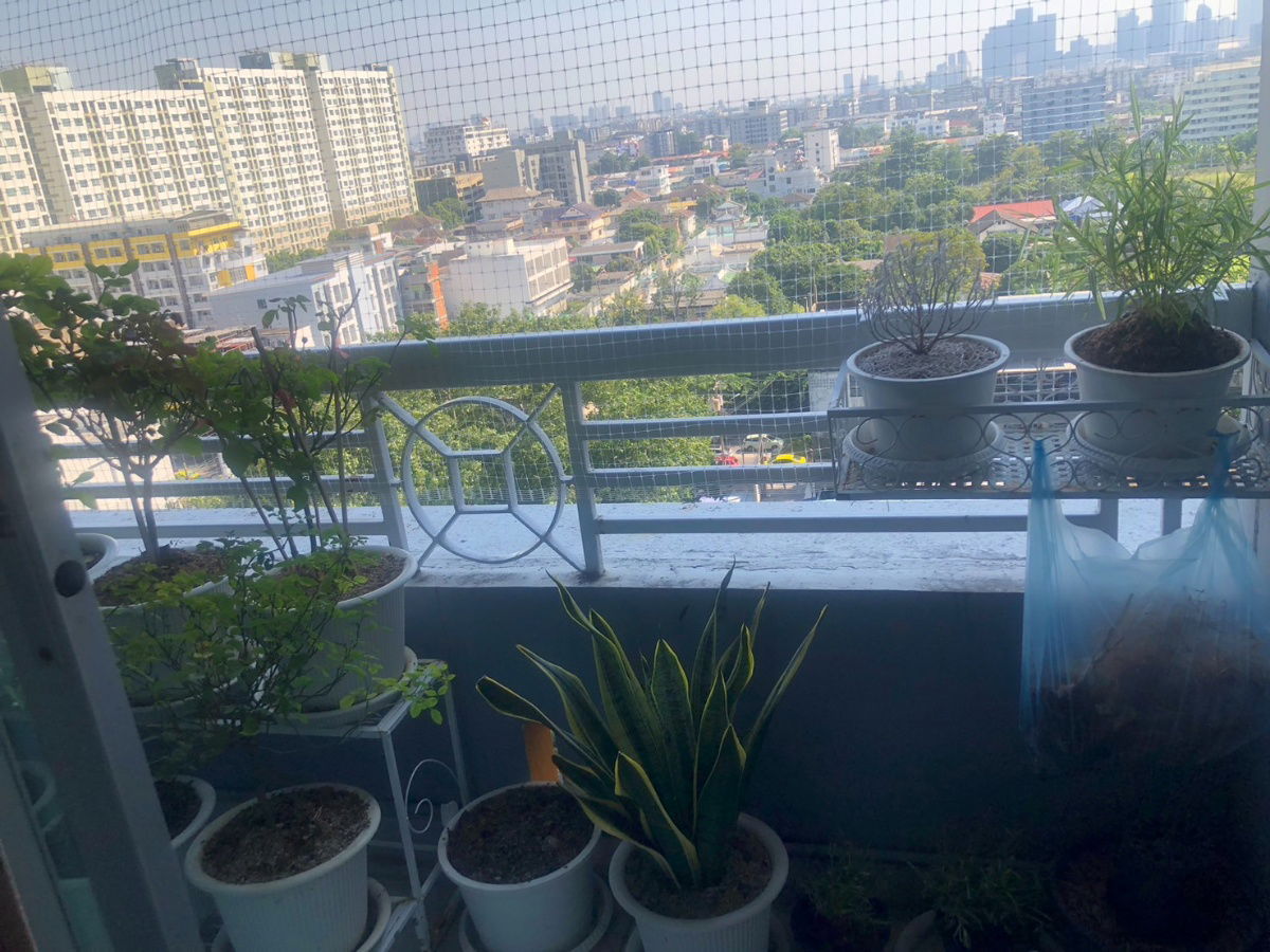 picture Condo for Rent – Lumpini Ville Sukhumvit 77 Building 2, 11th Floor | 2 Bedrooms, 2 Bathrooms | 65.5 sq.m. Near BTS On Nut | City View Pet allowed. - 22/30