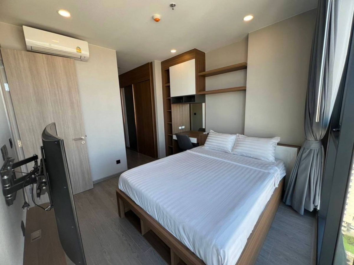 picture Cooper Siam【𝐑𝐄𝐍𝐓】🔥Warm, creamy brown tones with character🔥 Contact Line ID: @hacondo - 3/6