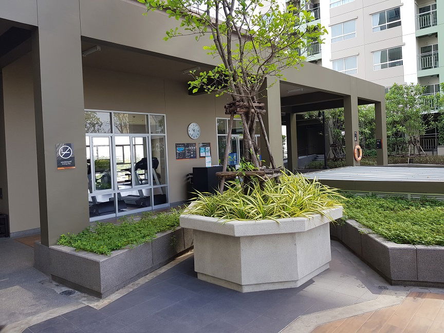 รูป ให้เช่าคอนโด ลุมพินี วิลล์ นครอินทร์-ริเวอร์วิว (Lumpini Ville Nakhonin-Riverview) - รูปที่ 11/13