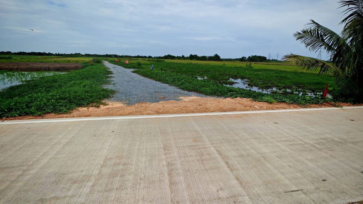 picture Cheapest in Khun Si Sai Noi, Nonthaburi, good investment, profitable, 59,000 baht per square wa, 3-phase water and electricity, near Big C 9 km, - 11/21